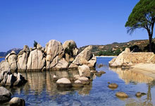 中国队包揽田径男子100米T38级奖牌央视网.